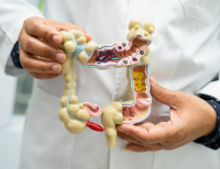 Prostate Supplement